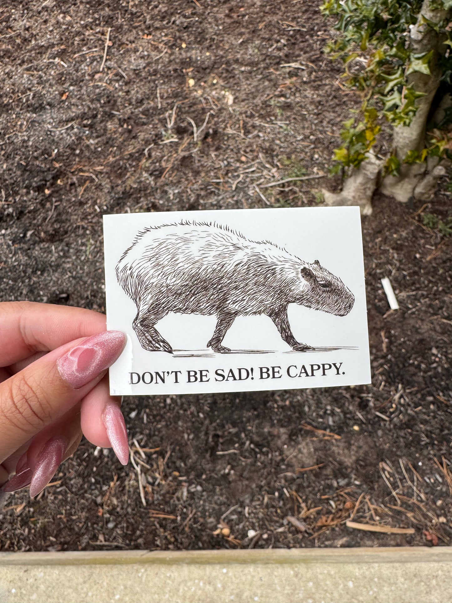 Be Cappy - Sticker